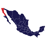 Baja Norte